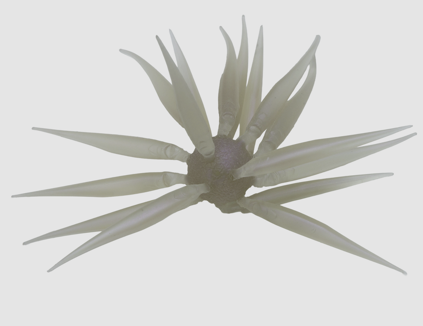 Hideup Coike Fish M Elastomer