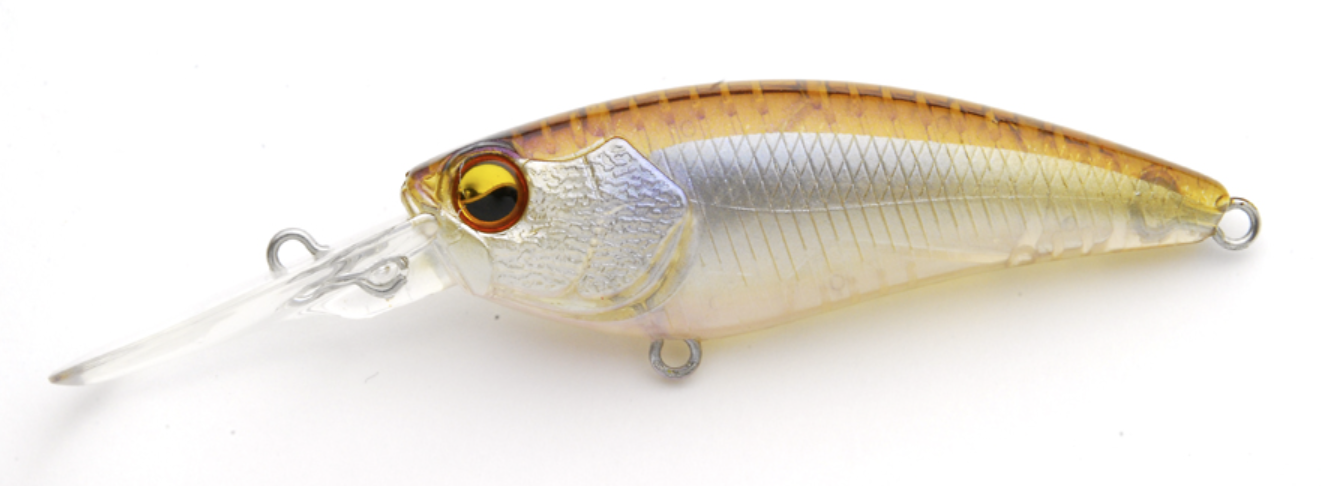 Raid Japan Level Shad