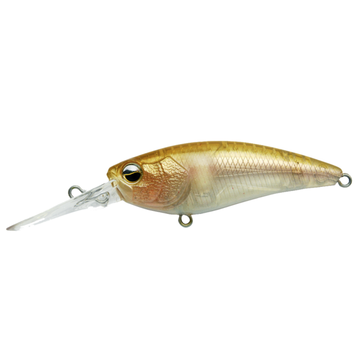 Raid Japan Level Shad