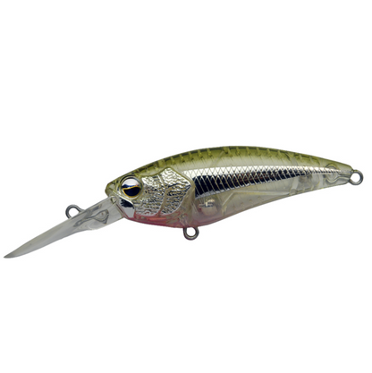 Raid Japan Level Shad