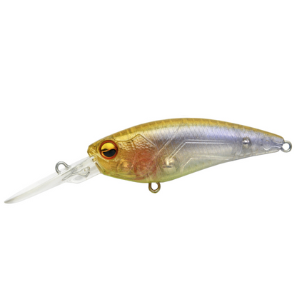 Raid Japan Level Shad