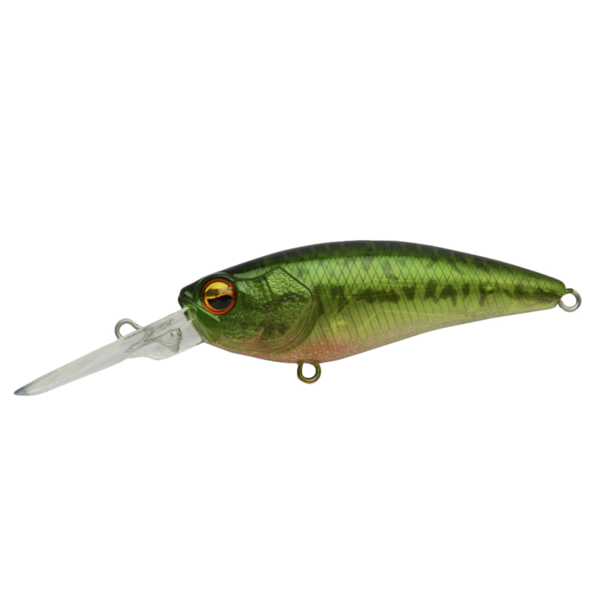 Raid Japan Level Shad
