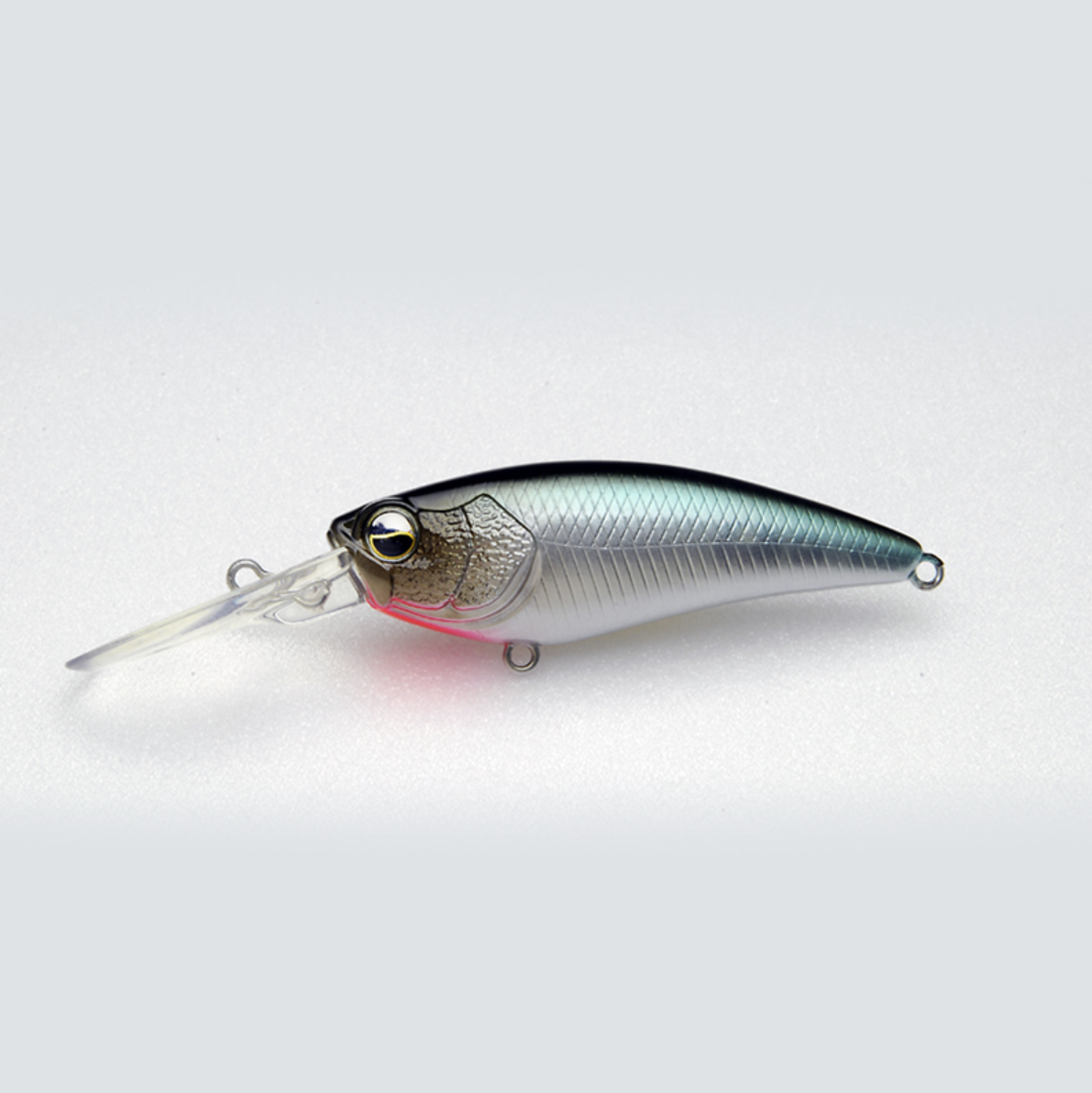 Raid Japan Level Shad