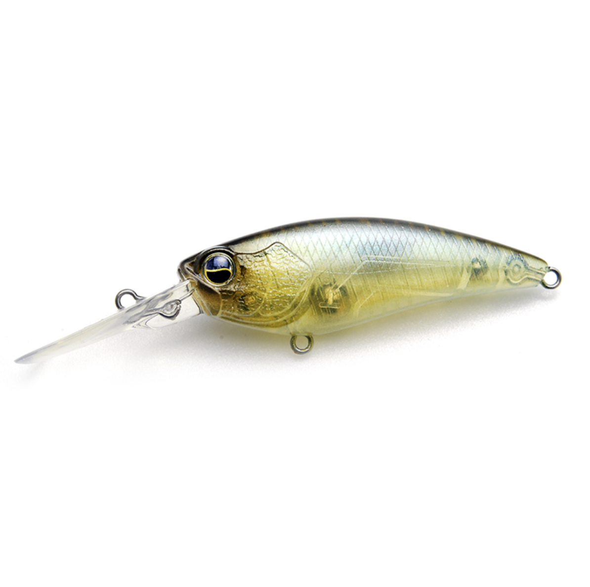Raid Japan Level Shad