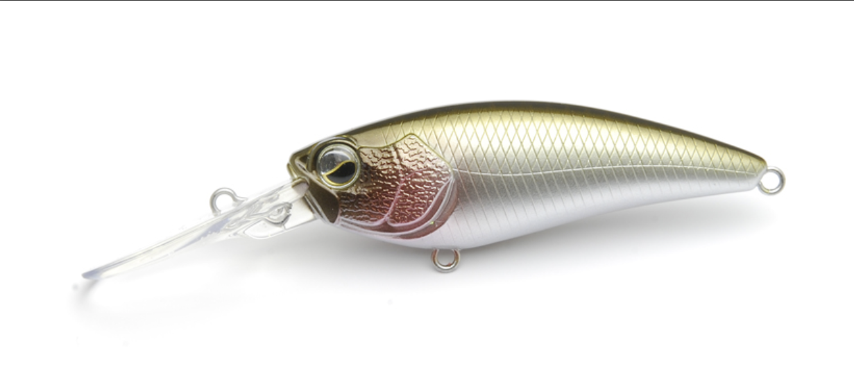 Raid Japan Level Shad