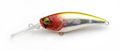 Raid Japan Level Shad