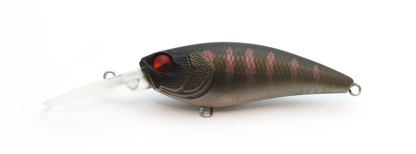 Raid Japan Level Shad