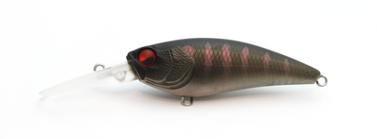 Raid Japan Level Shad