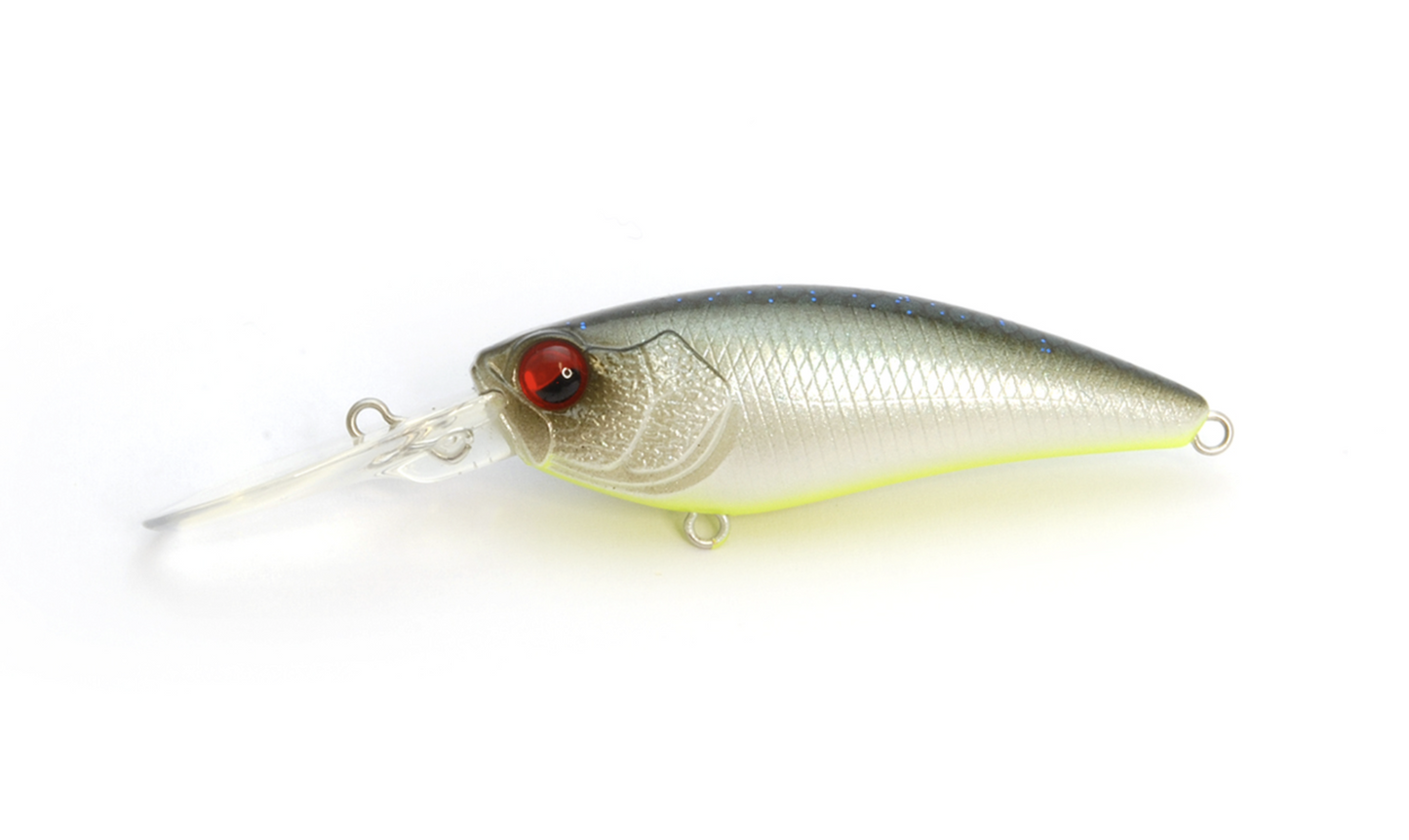 Raid Japan Level Shad
