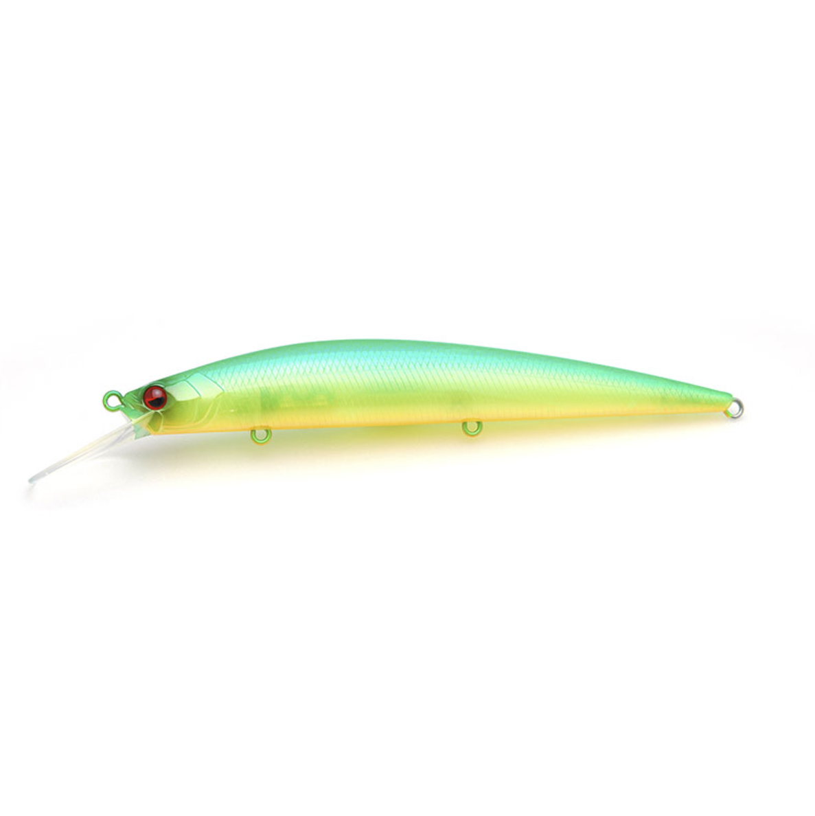 Raid Japan Level Minnow Plus