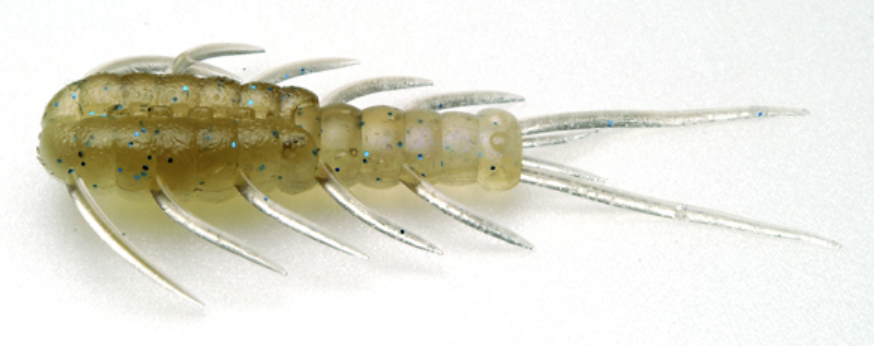 Raid Japan Avi 50