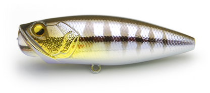 Raid Japan Two Side