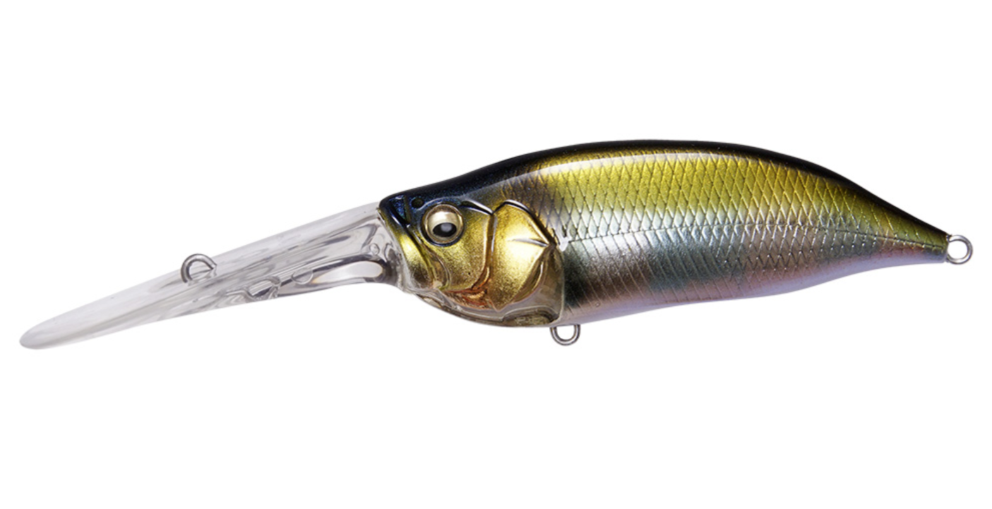 Megabass IXI Shad TX
