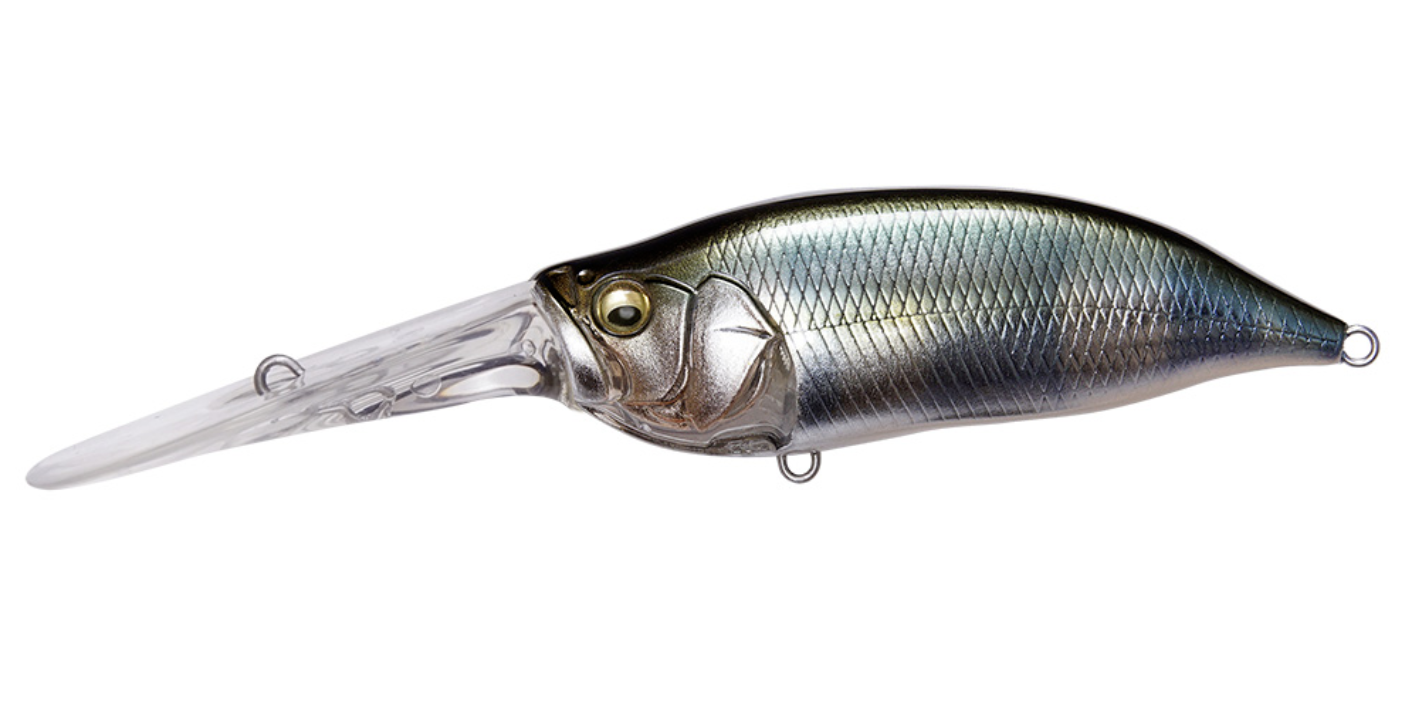 Megabass IXI Shad TX