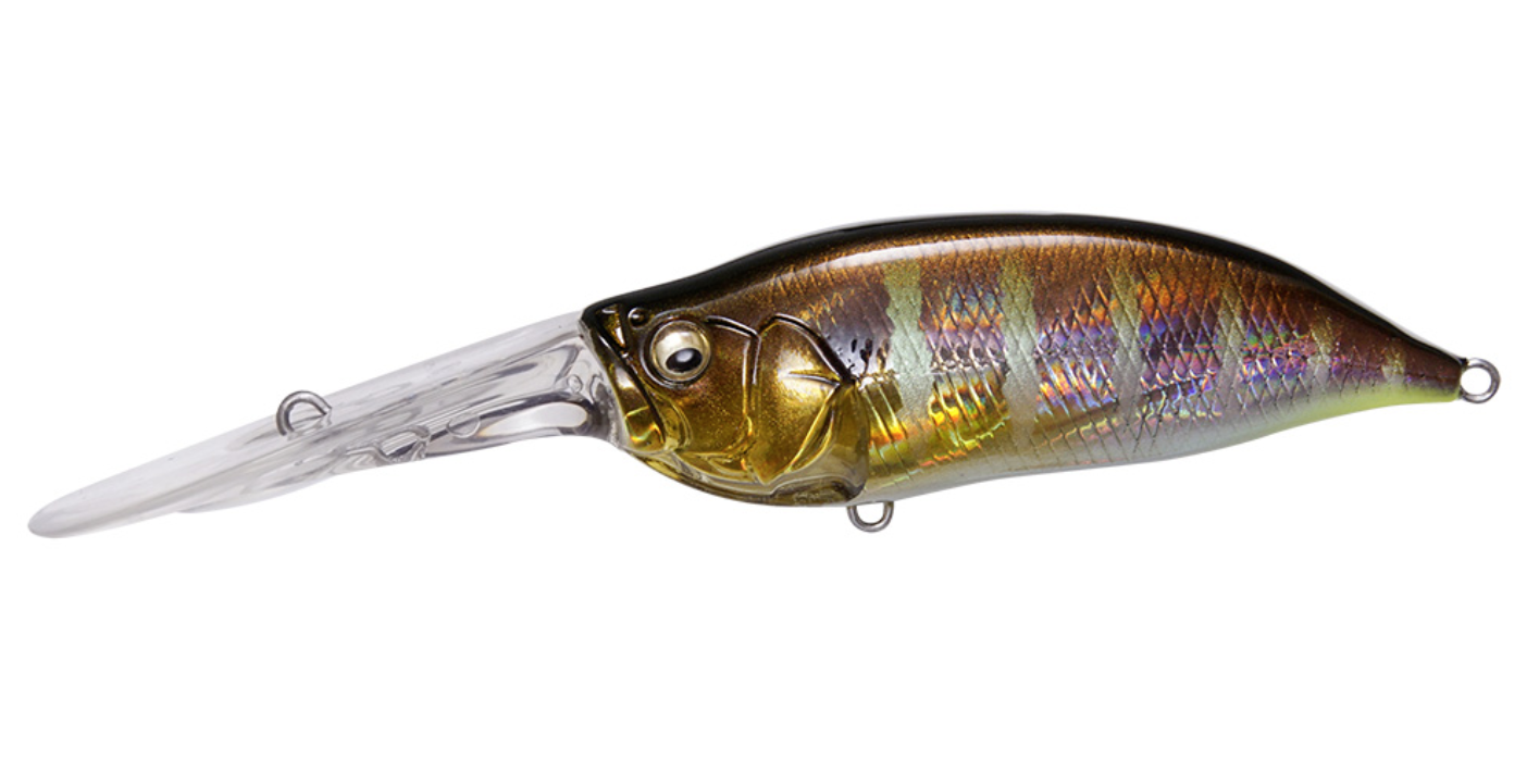 Megabass IXI Shad TX