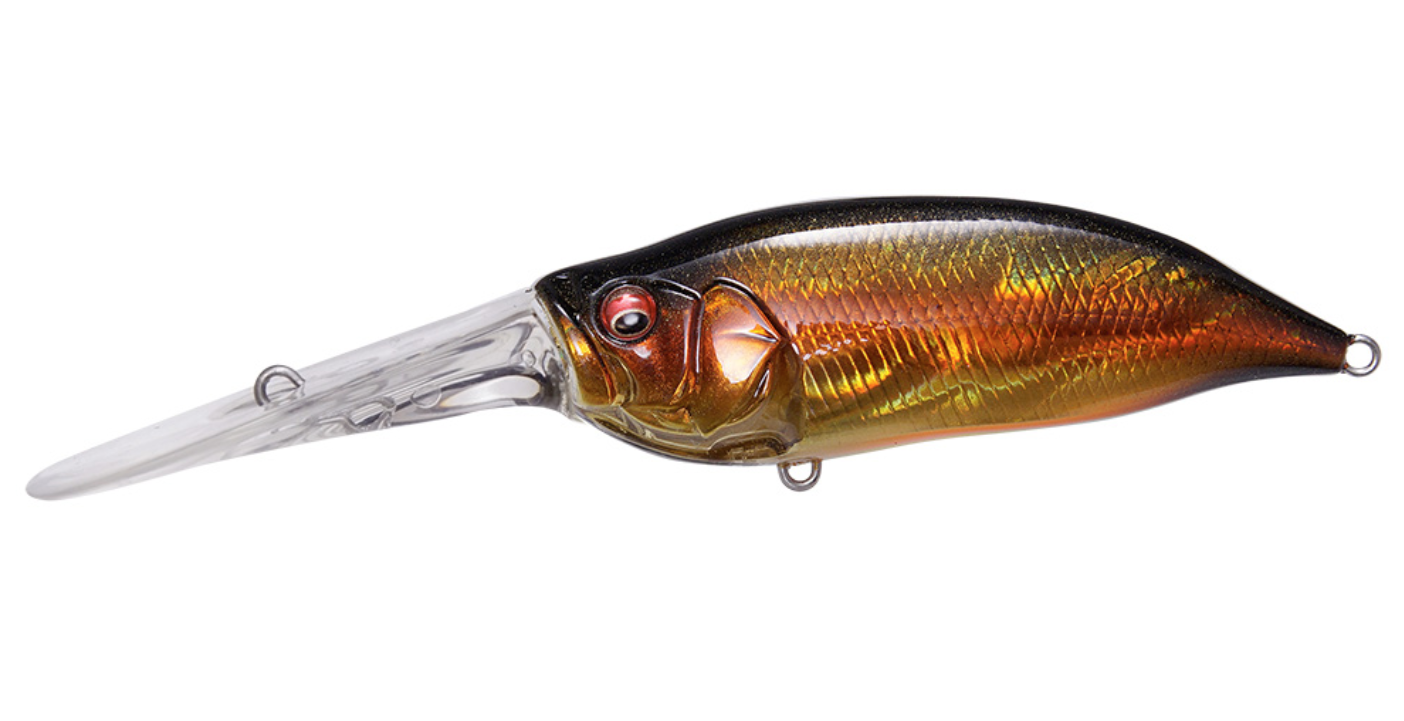 Megabass IXI Shad TX