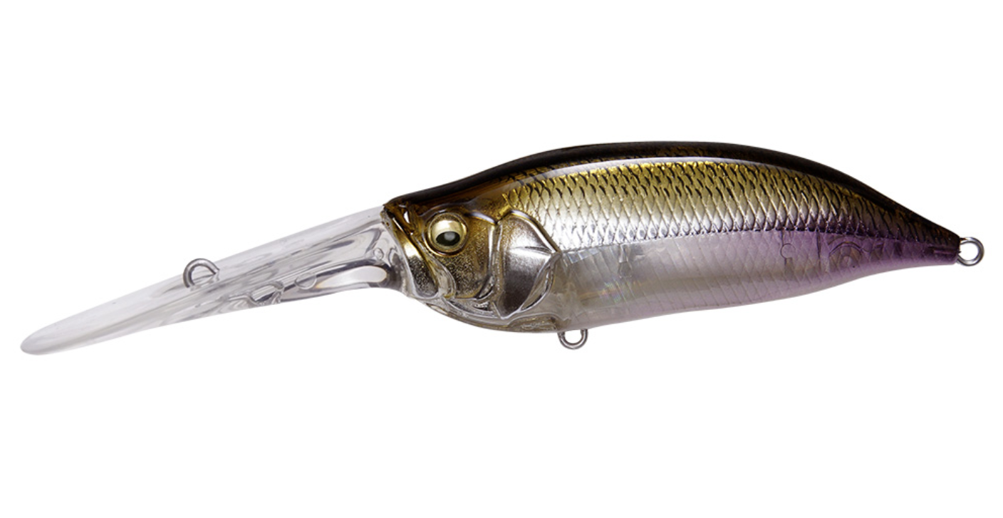 Megabass IXI Shad TX