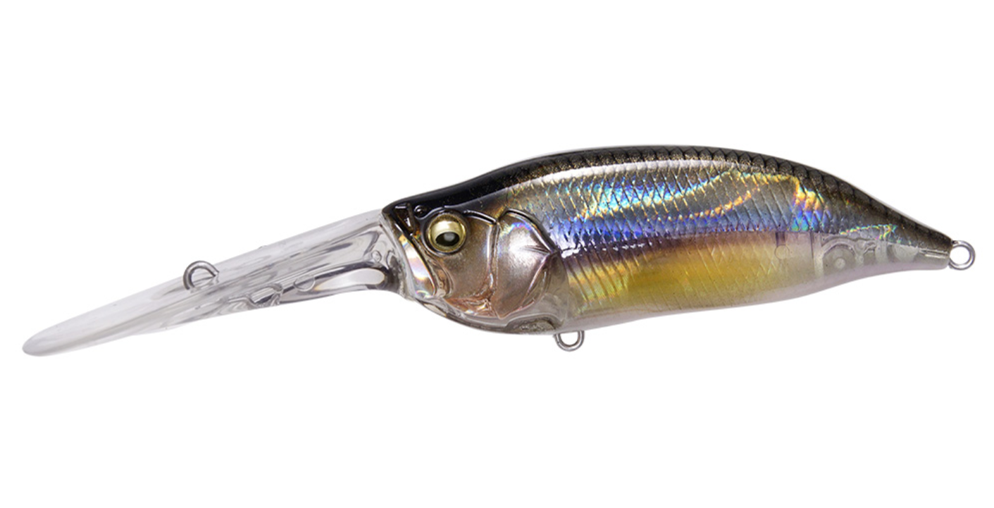 Megabass IXI Shad TX