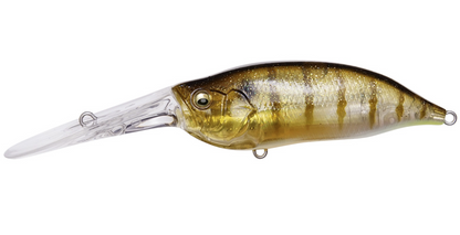 Megabass IXI Shad TX