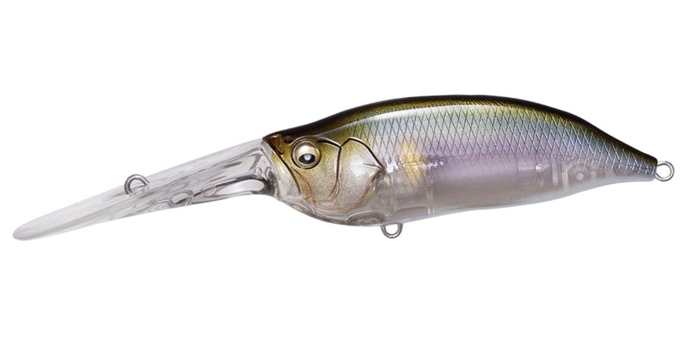 Megabass IXI Shad TX