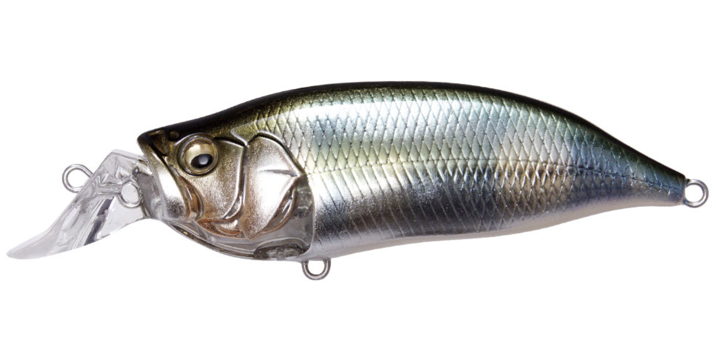 Megabass IXI Shad Type-R