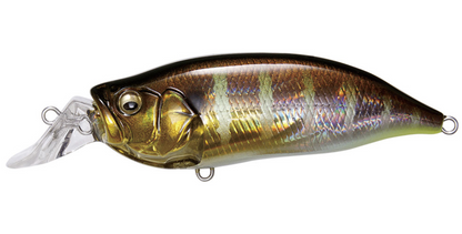 Megabass IXI Shad Type-R