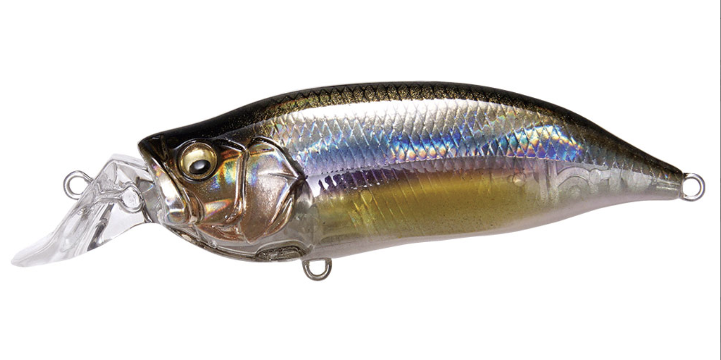 Megabass IXI Shad Type-R