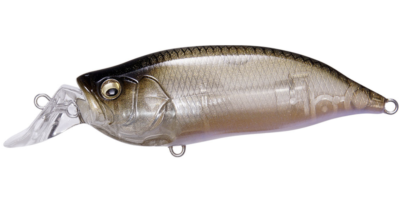 Megabass IXI Shad Type-R