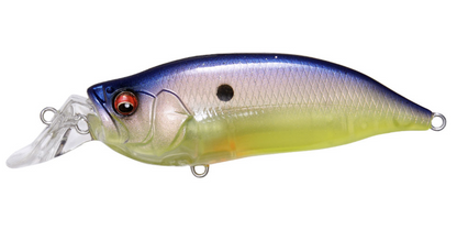Megabass IXI Shad Type-R