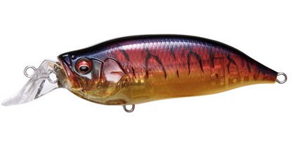 Megabass IXI Shad Type-R