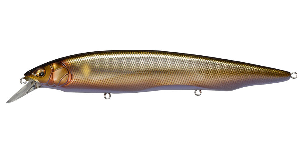 Megabass Kanata