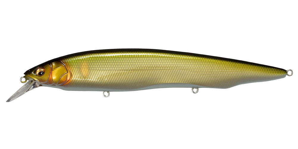 Megabass Kanata