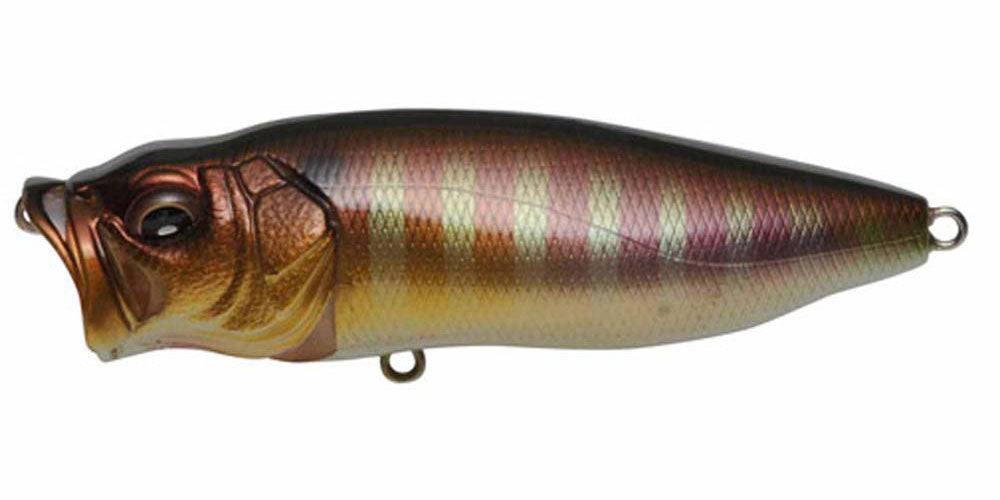 Megabass Popmax