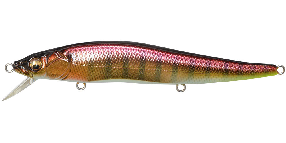 Megabass Vision Oneten
