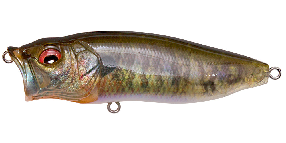 Megabass Popmax