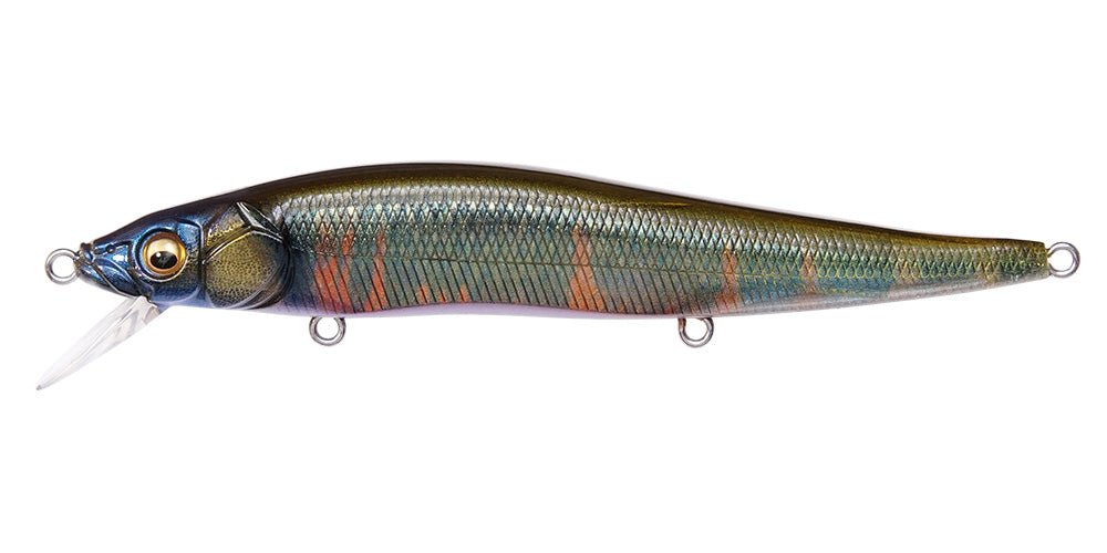 Megabass Vision Oneten
